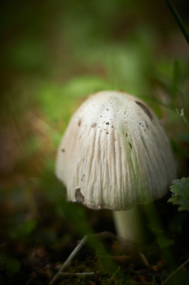 Photograph by Inna Tatarchenko