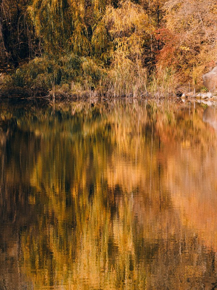 Photograph by Дмитрий Степанец