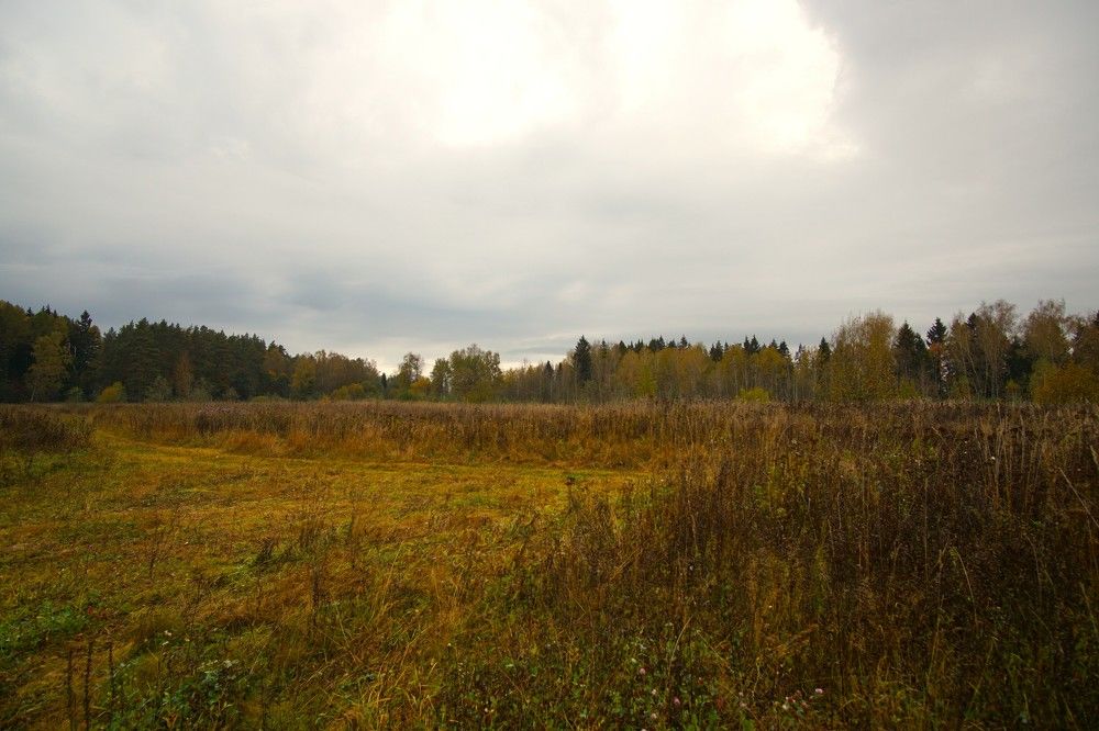 Photograph by Михаил Трусов