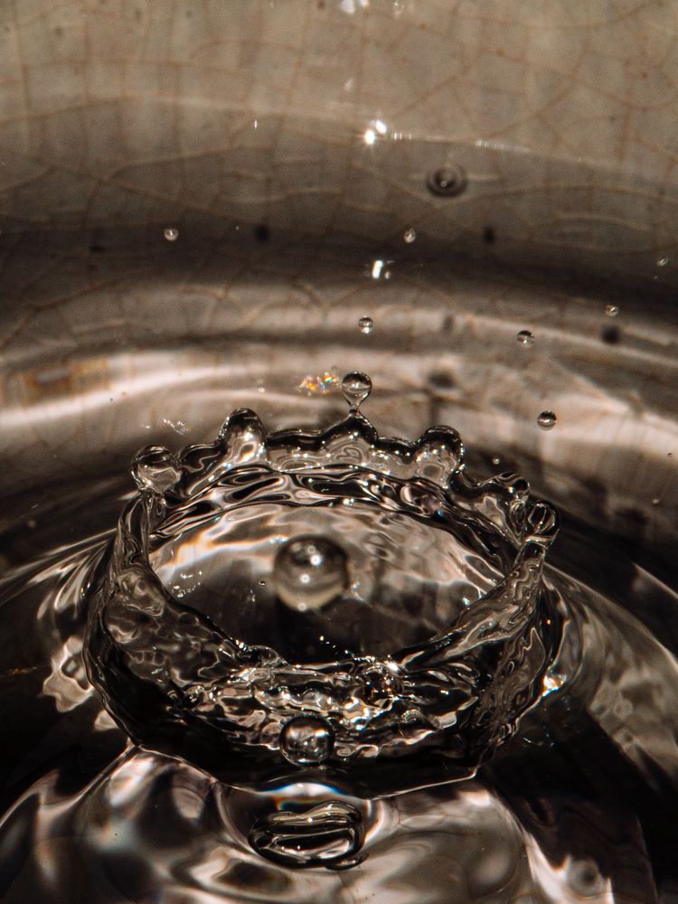 Photograph by Дмитрий Степанец