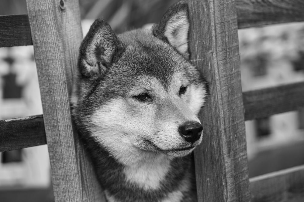 И снова здравствуйте