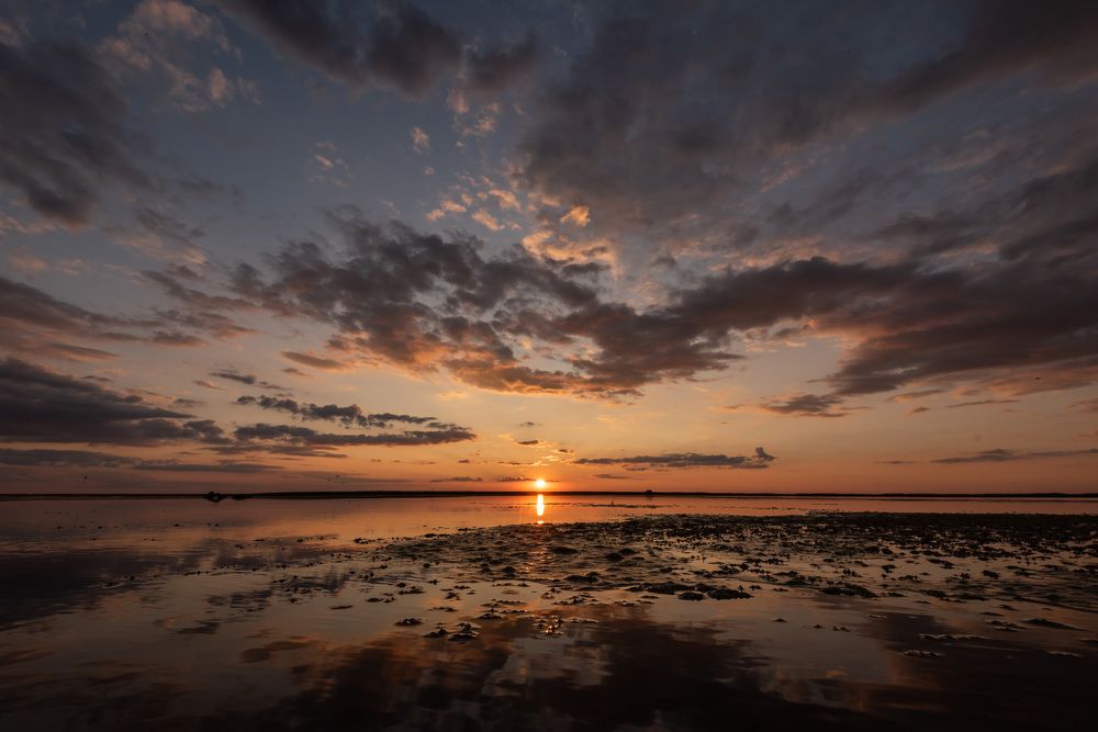 Photograph by Александр Щербаков