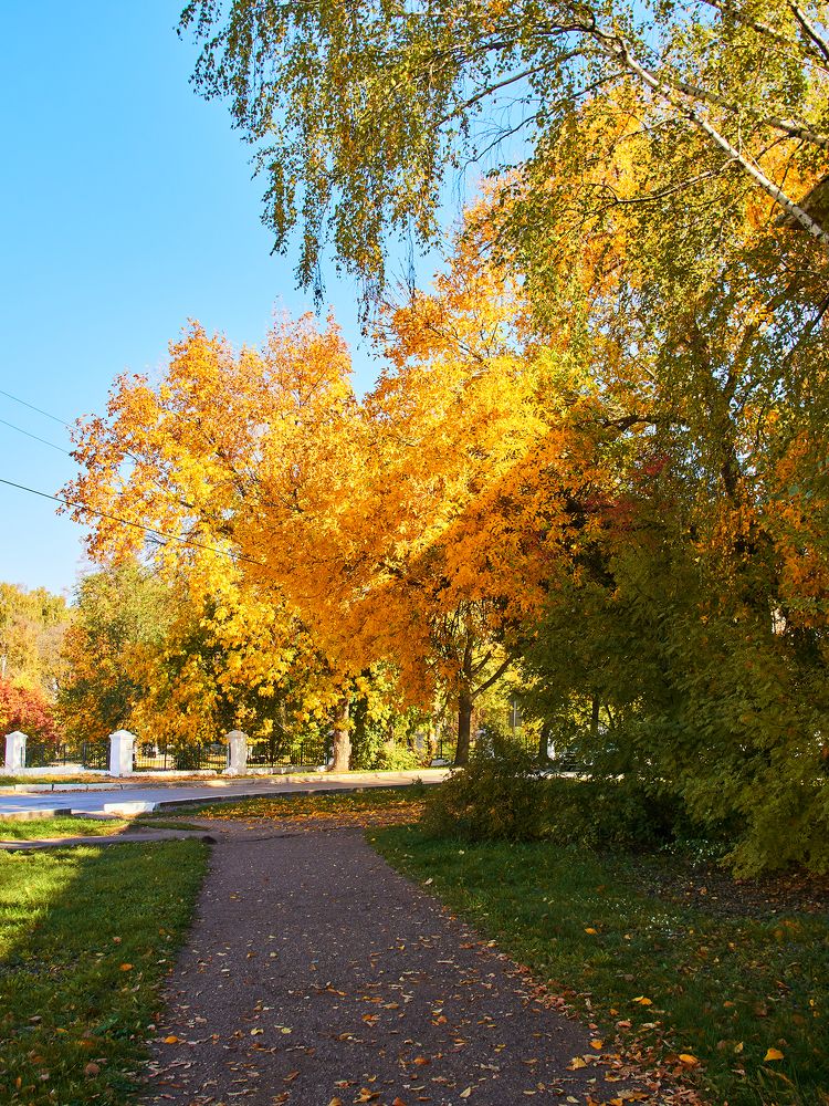 Photograph by Vyacheslav Bashirov