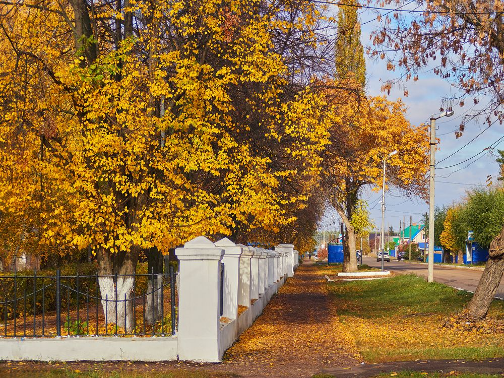 Photograph by Vyacheslav Bashirov