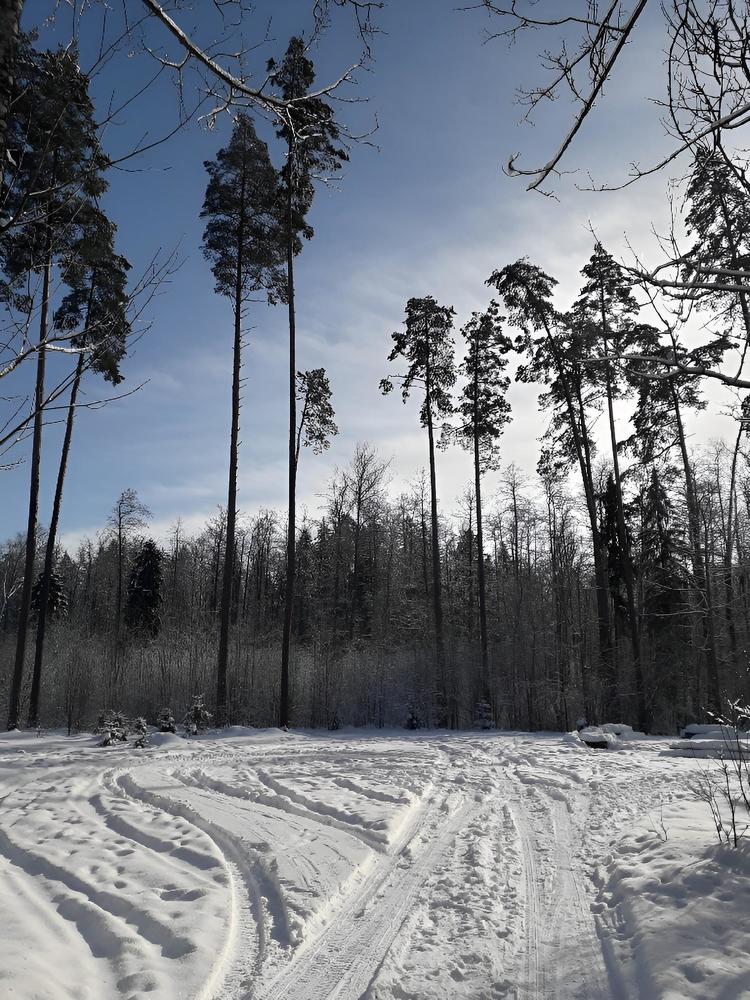 Photograph by Марина Гусева