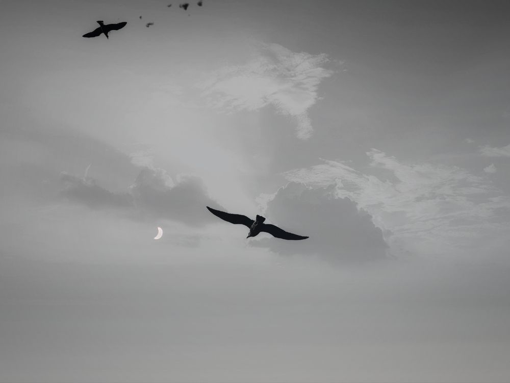 Photograph by Bülent Yazıcıoğlu