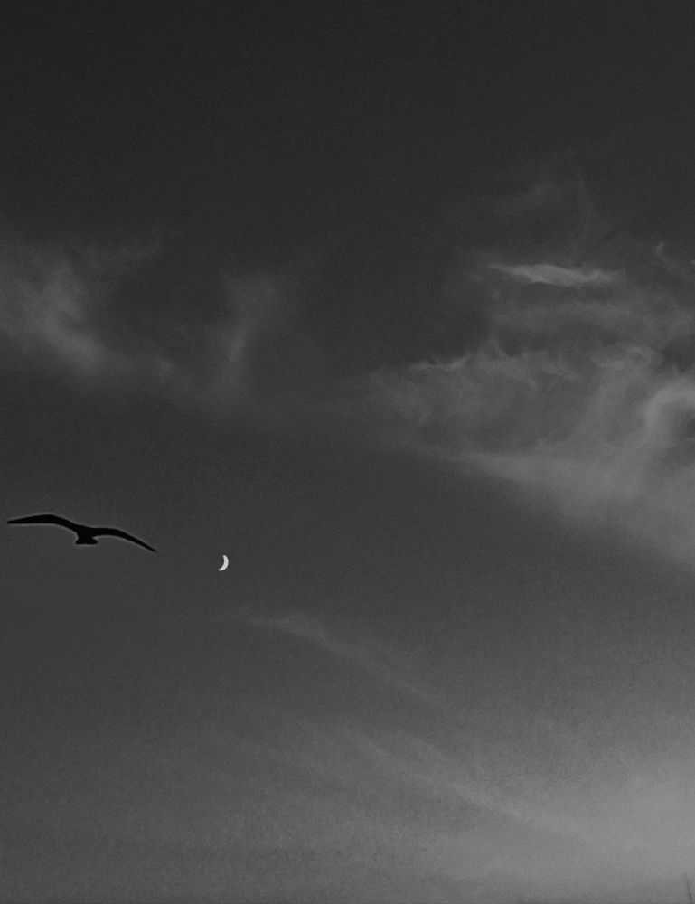 Photograph by Bülent Yazıcıoğlu