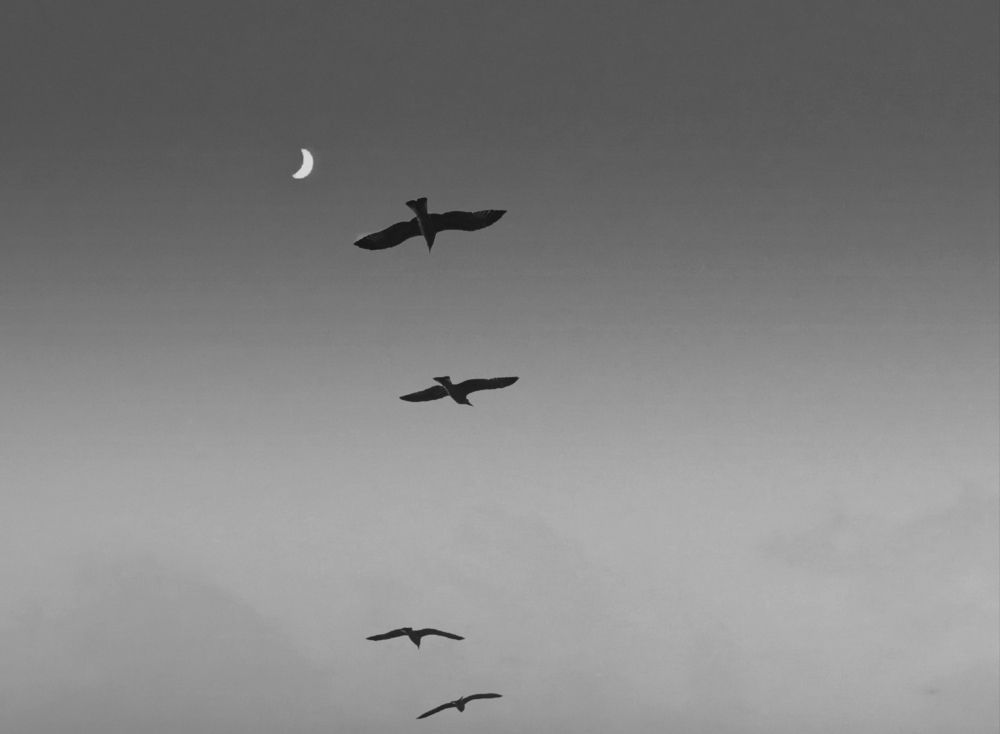 Photograph by Bülent Yazıcıoğlu