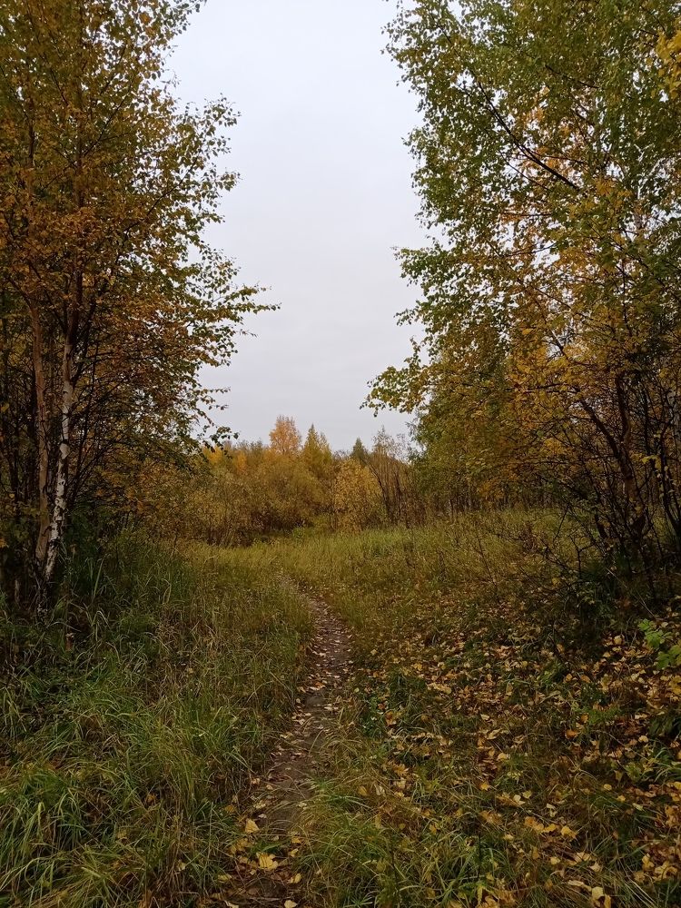 Photo #9614690