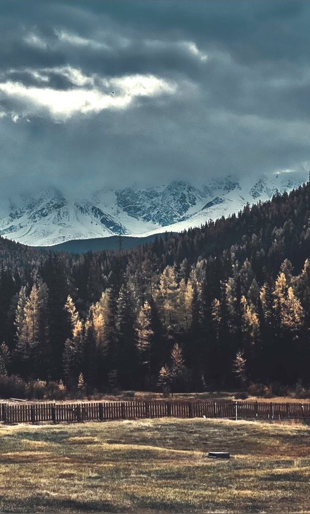 Photograph by Марина Куимова