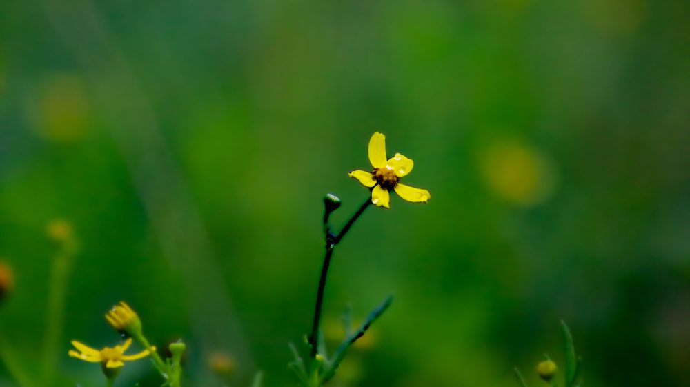 Photograph by Anurag Kashyap