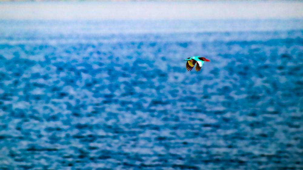 Photograph by Anurag Kashyap