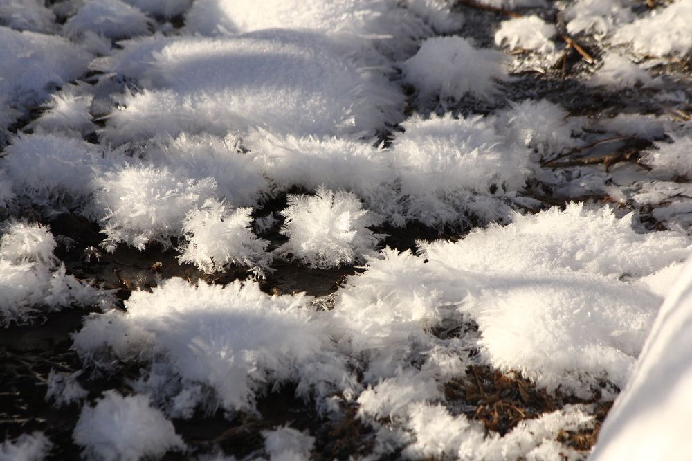 Photograph by Геннадий Лосев