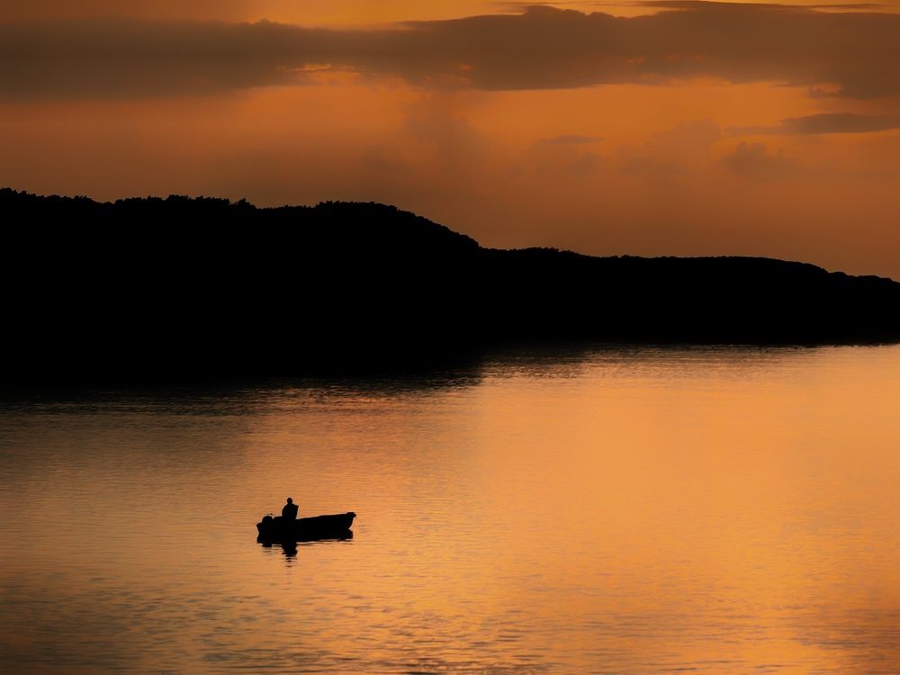 Photograph by Bojana Vein