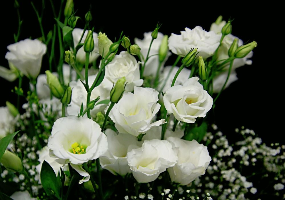 Photograph by Irina Radzinskaya