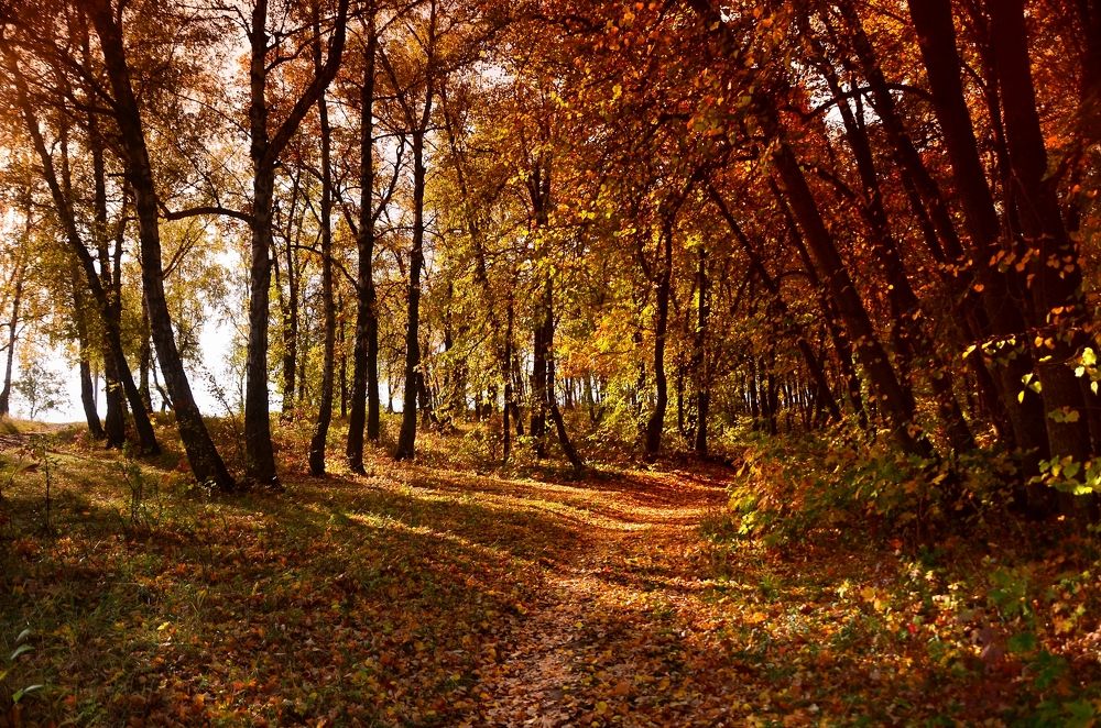 Photograph by Наталья Иванова