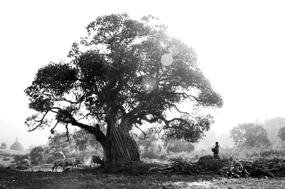 Photograph by Pavan Gude