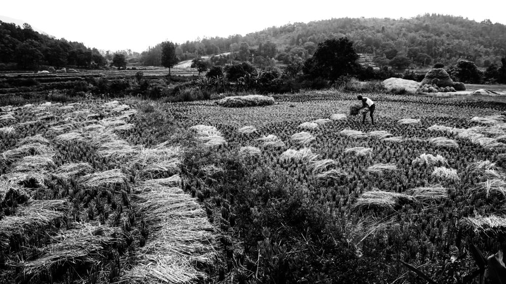 Photograph by Pavan Gude