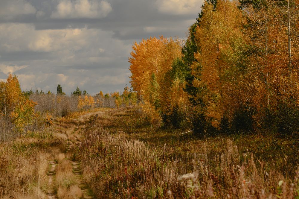 Photograph by Дмитрий Бухтик