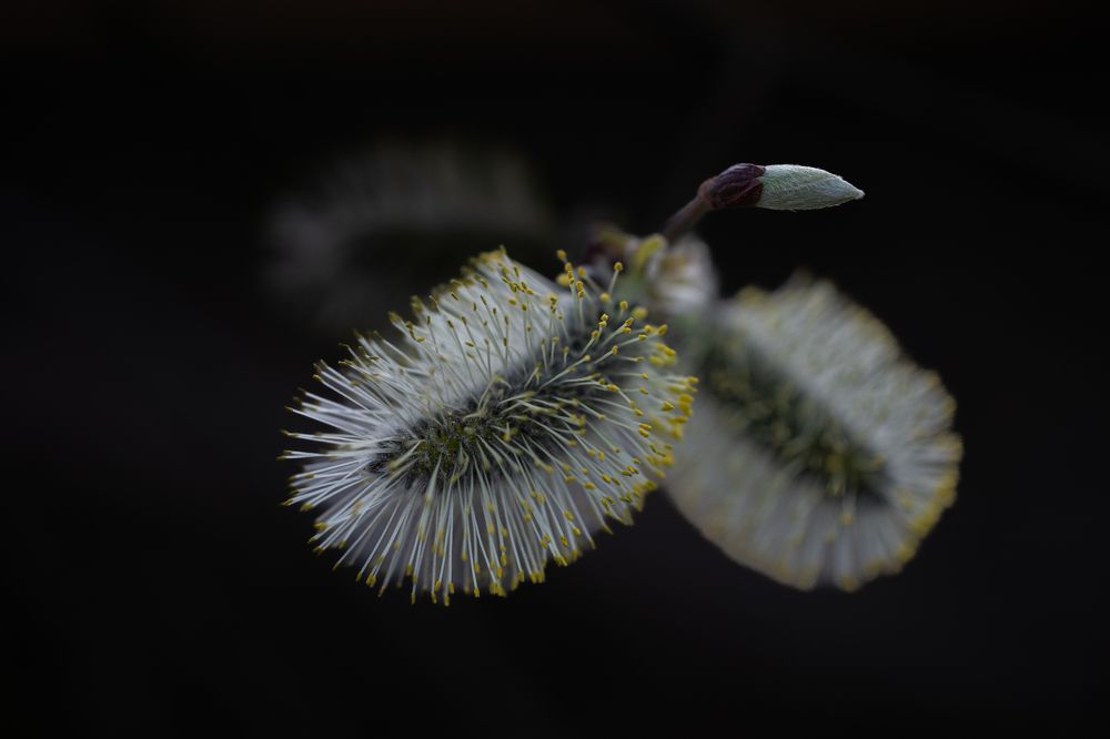 Photograph by Svetlana Jegorova