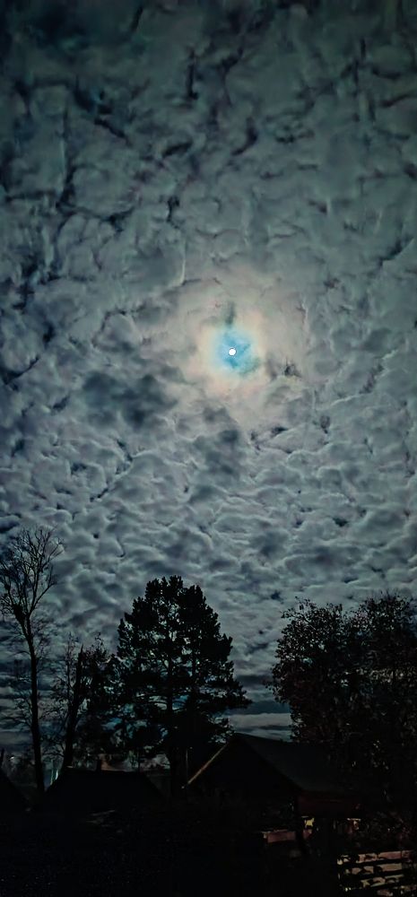 Photograph by Юлия Сластина - Самохвалова