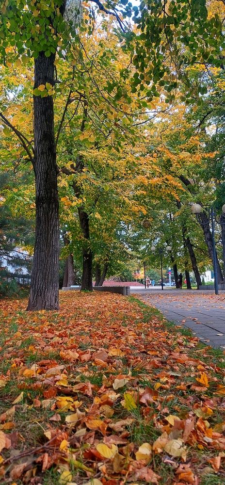 Photograph by Марина Жарикова