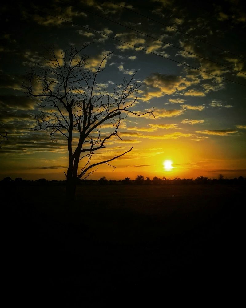 Photograph by Мария Цепилова