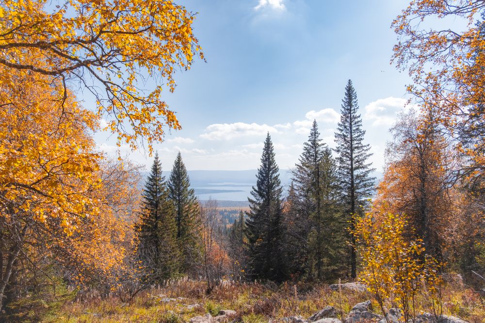 Photograph by Виталий Бодрягин