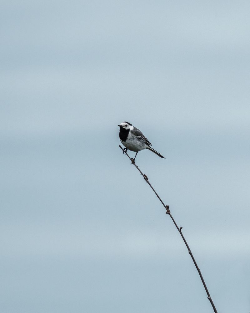 Photograph by Виталий Бодрягин