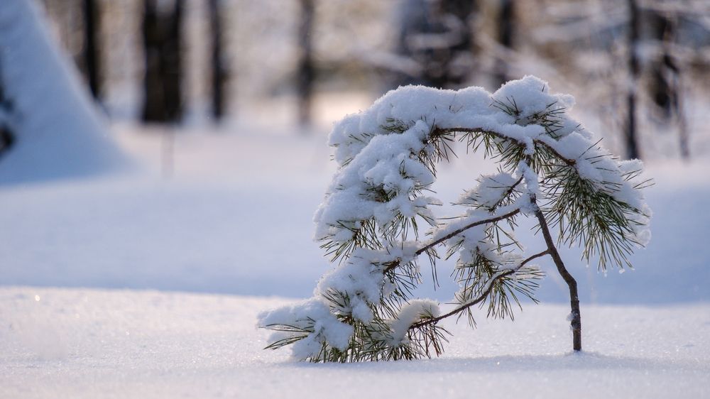 Photograph by Виталий Бодрягин