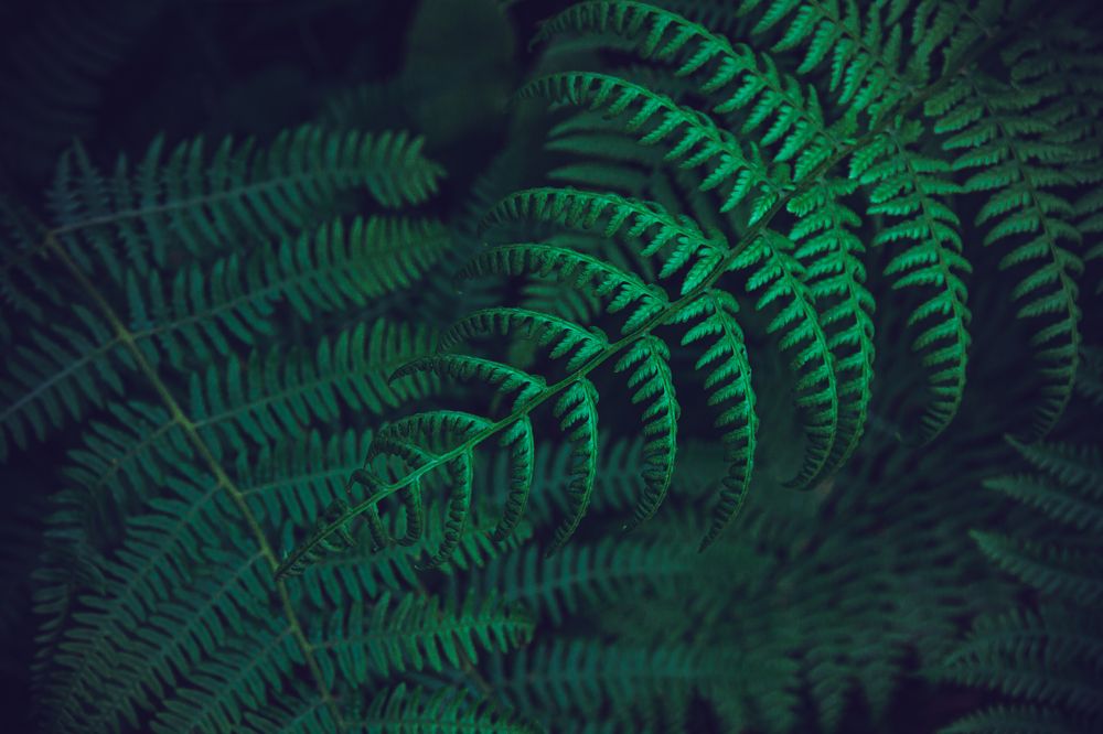 Photograph by Слащилина Нина