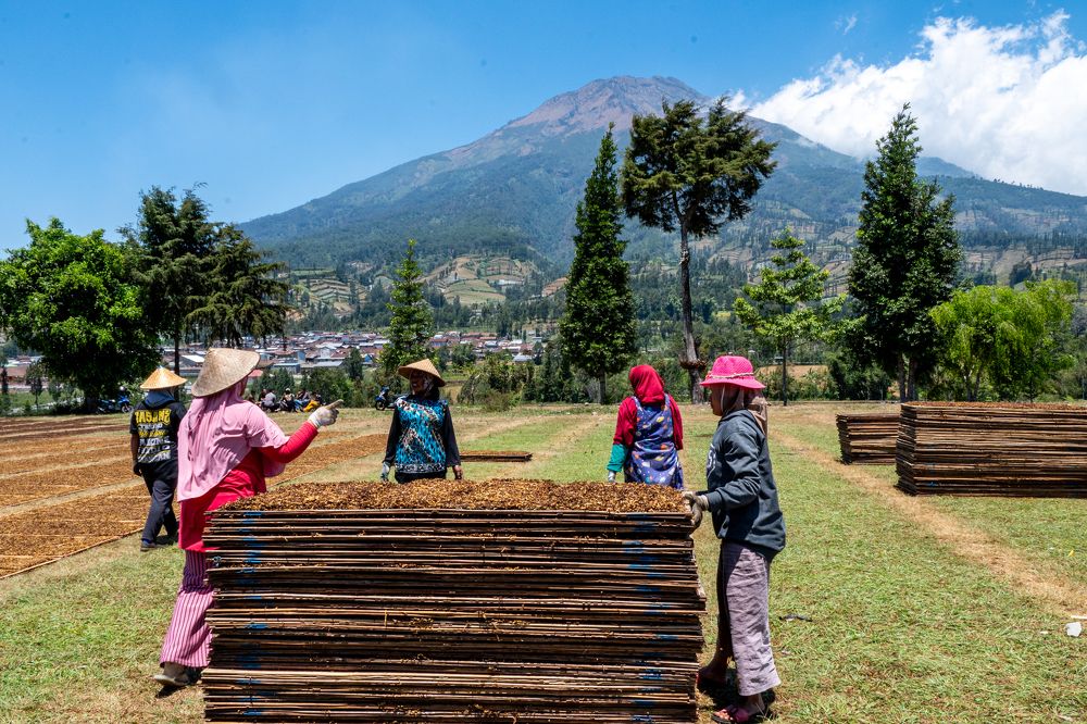 Photograph by Pratiwanjono Ambrosius