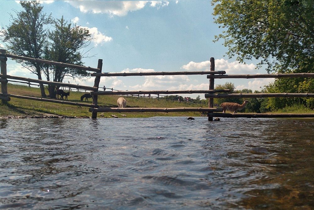 Photograph by Асад Ибадов