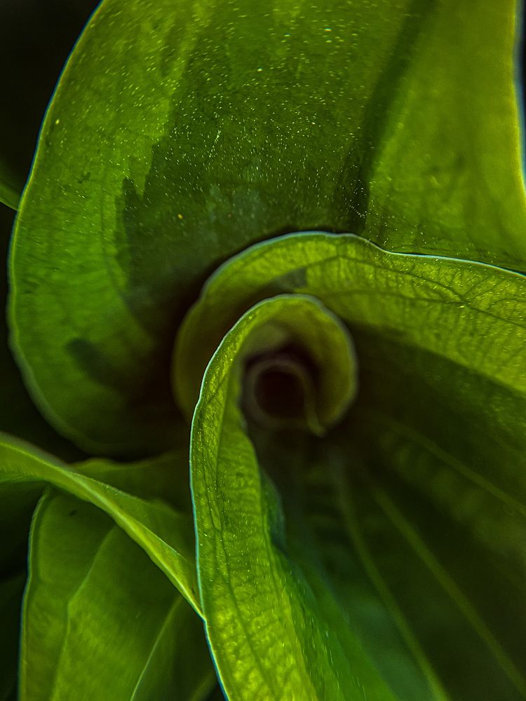 Фотография автора Татьяна Аникина