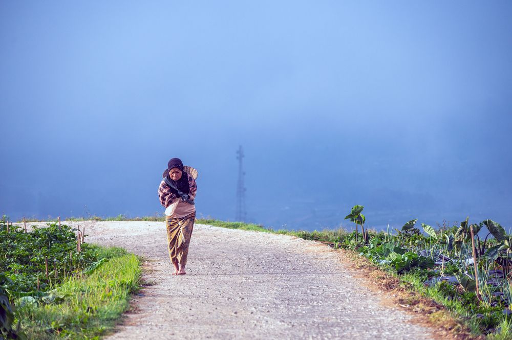 Photograph by Pratiwanjono Ambrosius