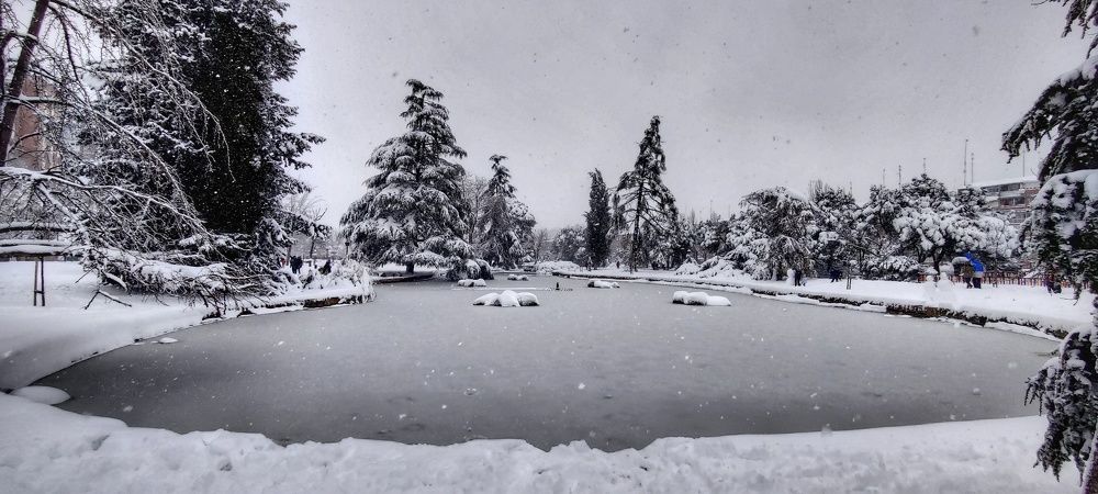 Photograph by Noemí Hornero Alonso