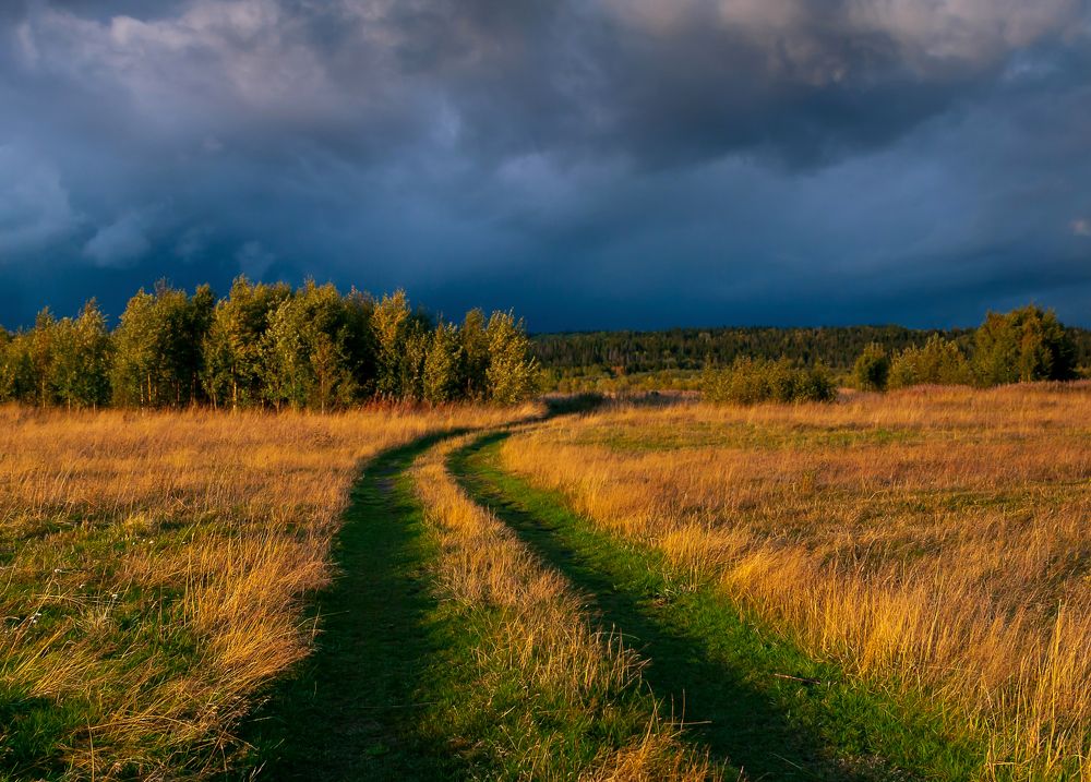 Дорога в поле.