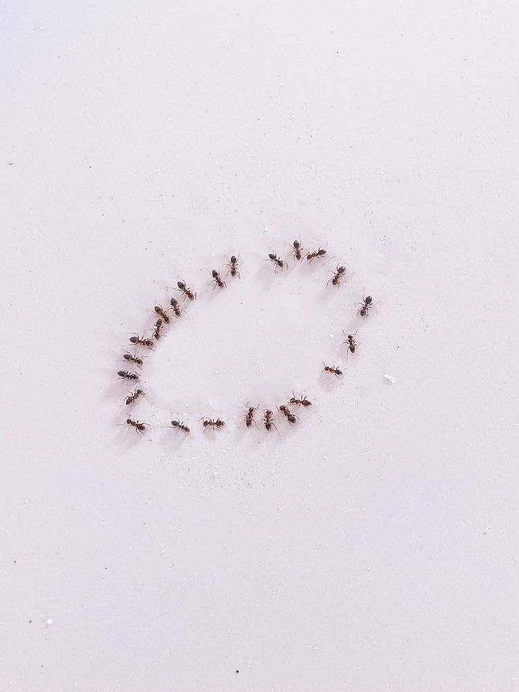 Фотография автора Александр Заикин