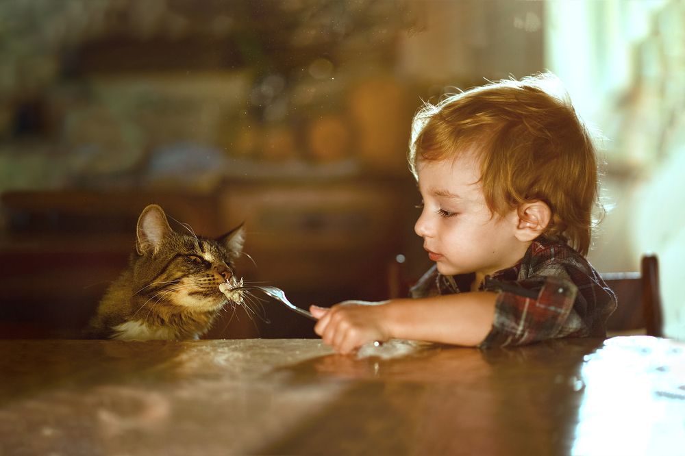 Photograph by Татьяна Литвинова