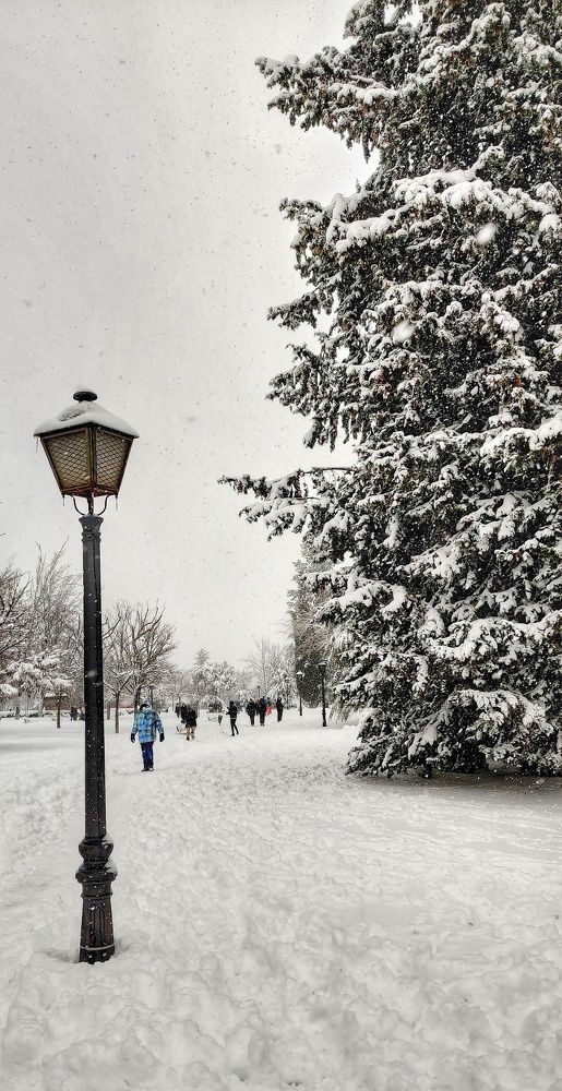 Photograph by Noemí Hornero Alonso