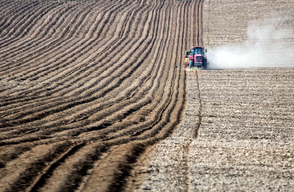 Photograph by Людмила Прокофьева