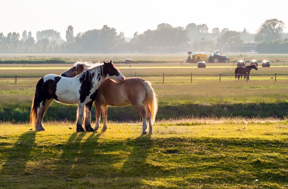 Photograph by Людмила Прокофьева