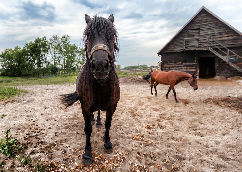 Фотография автора Людмила Прокофьева