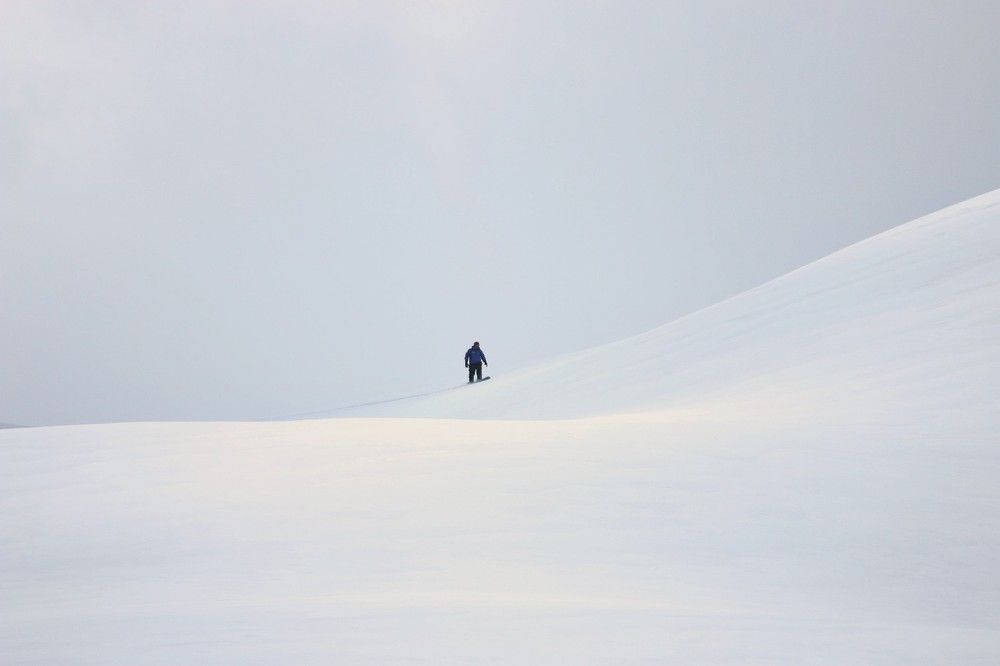 Фотография автора mohammad hossein moheimani
