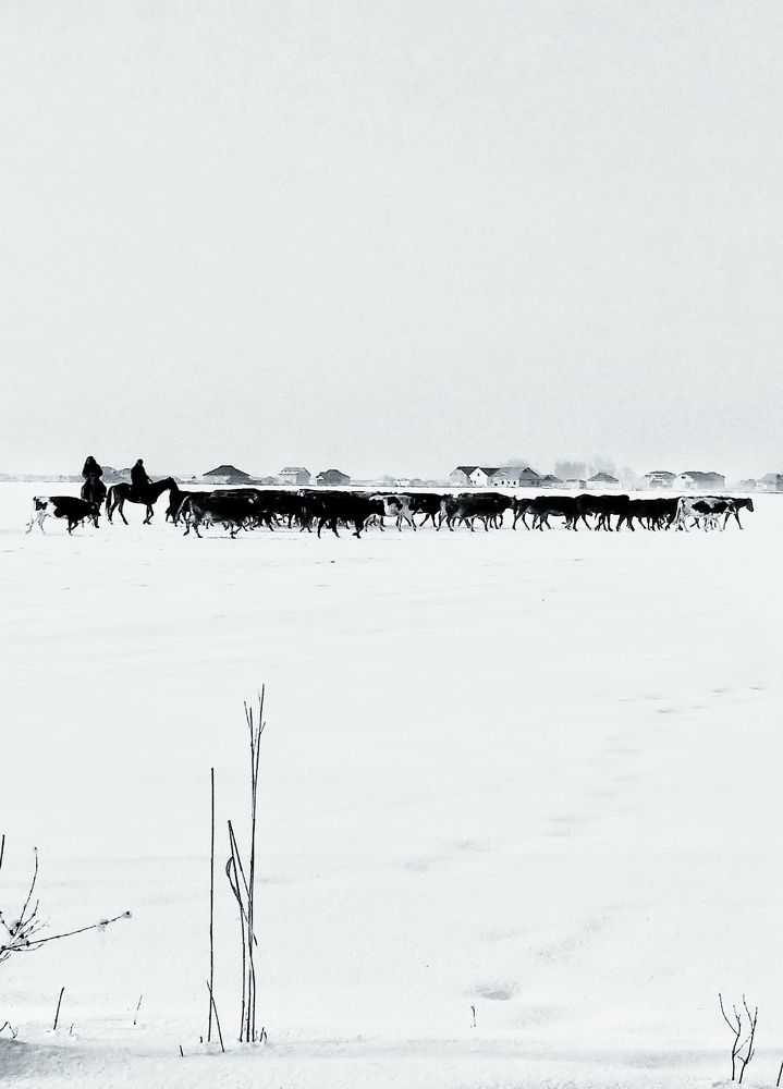 Photograph by Орынбек Асилбаев