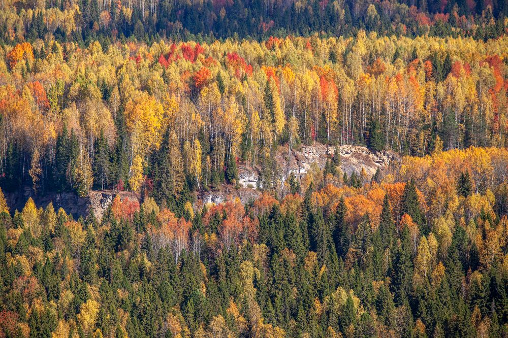 Photograph by Евгений Москвин