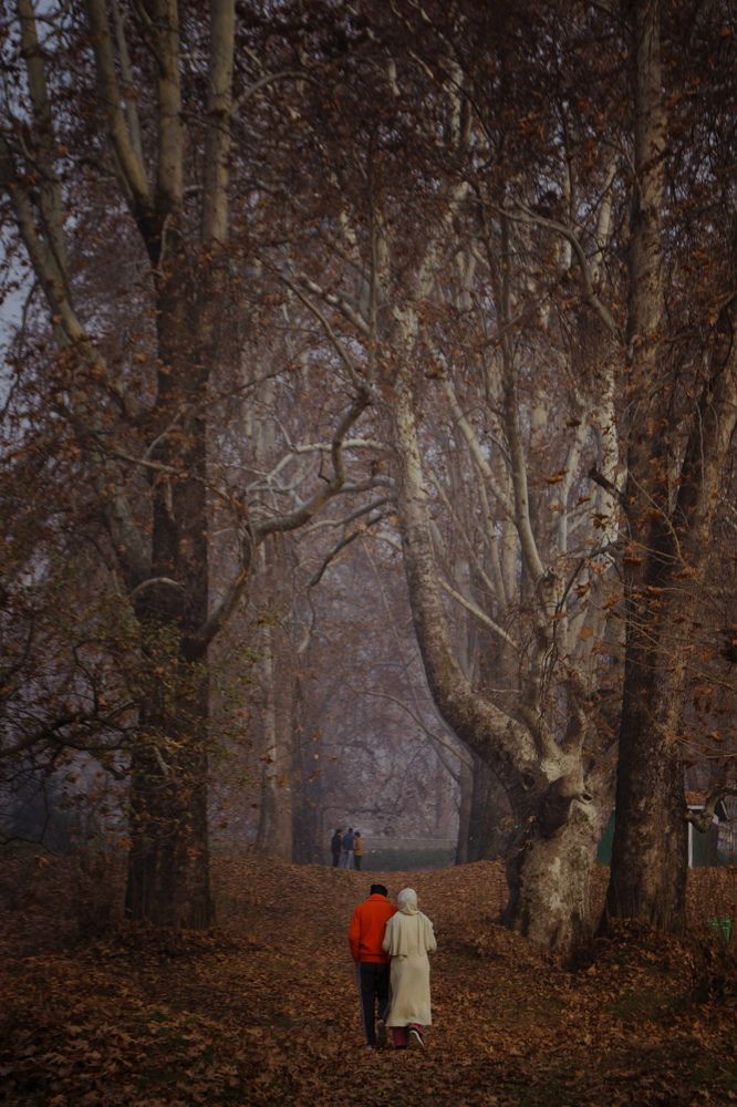 Фотография автора Abhijeet Srivastava