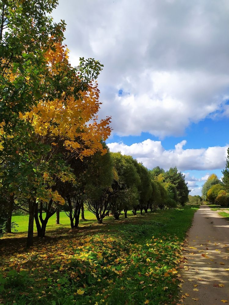 Photograph by Юлия Смирнова