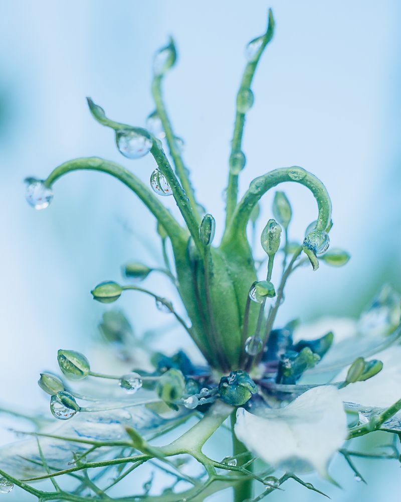 Фотография автора Наталья