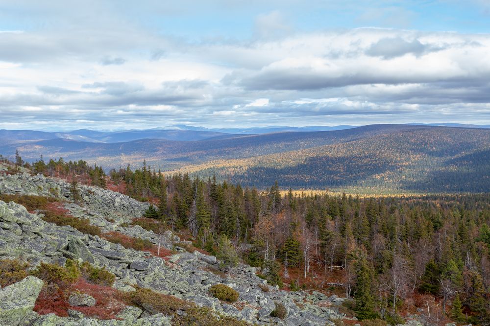 Photograph by Евгений Москвин